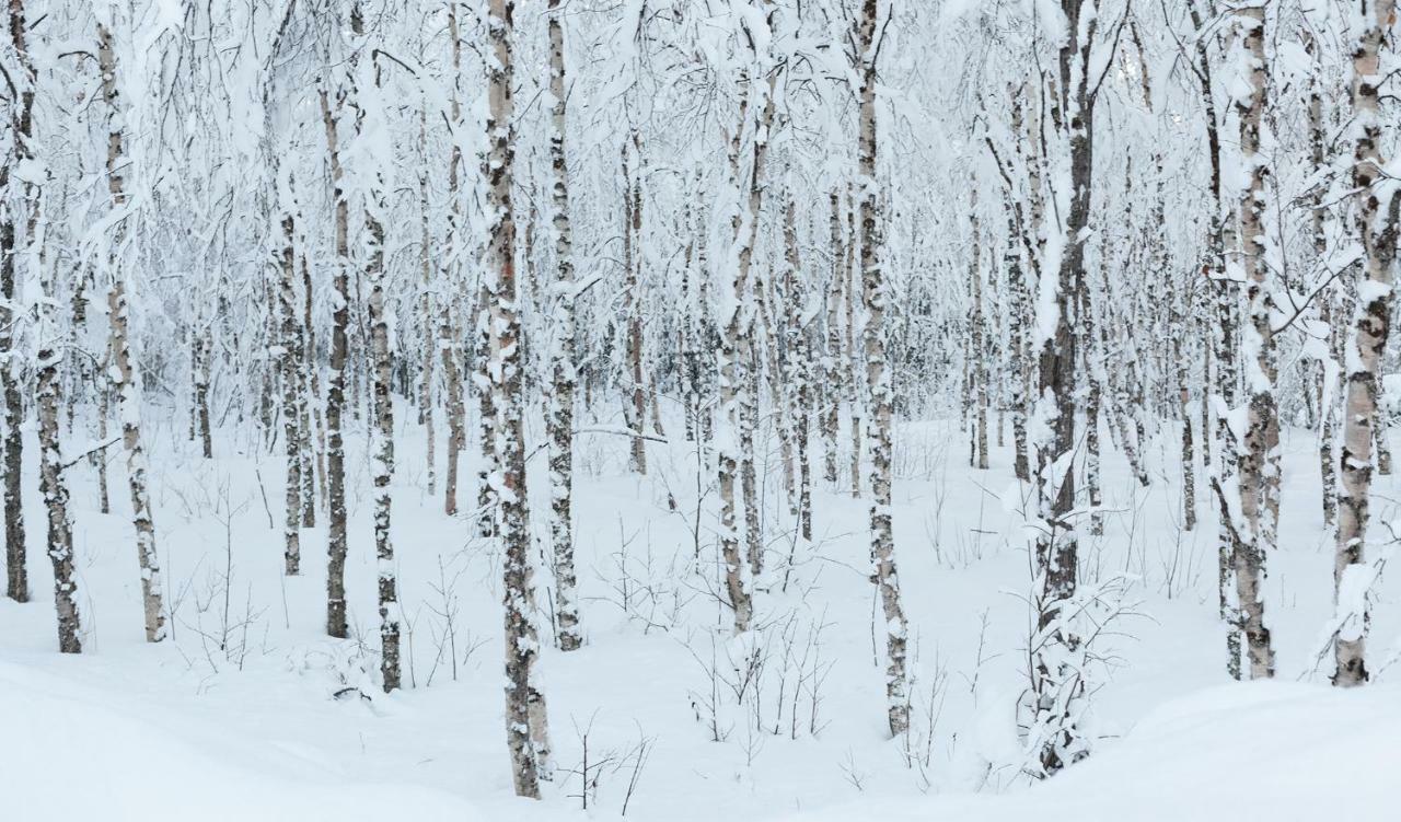Willa Terra Ultima Rovaniemi Zewnętrze zdjęcie