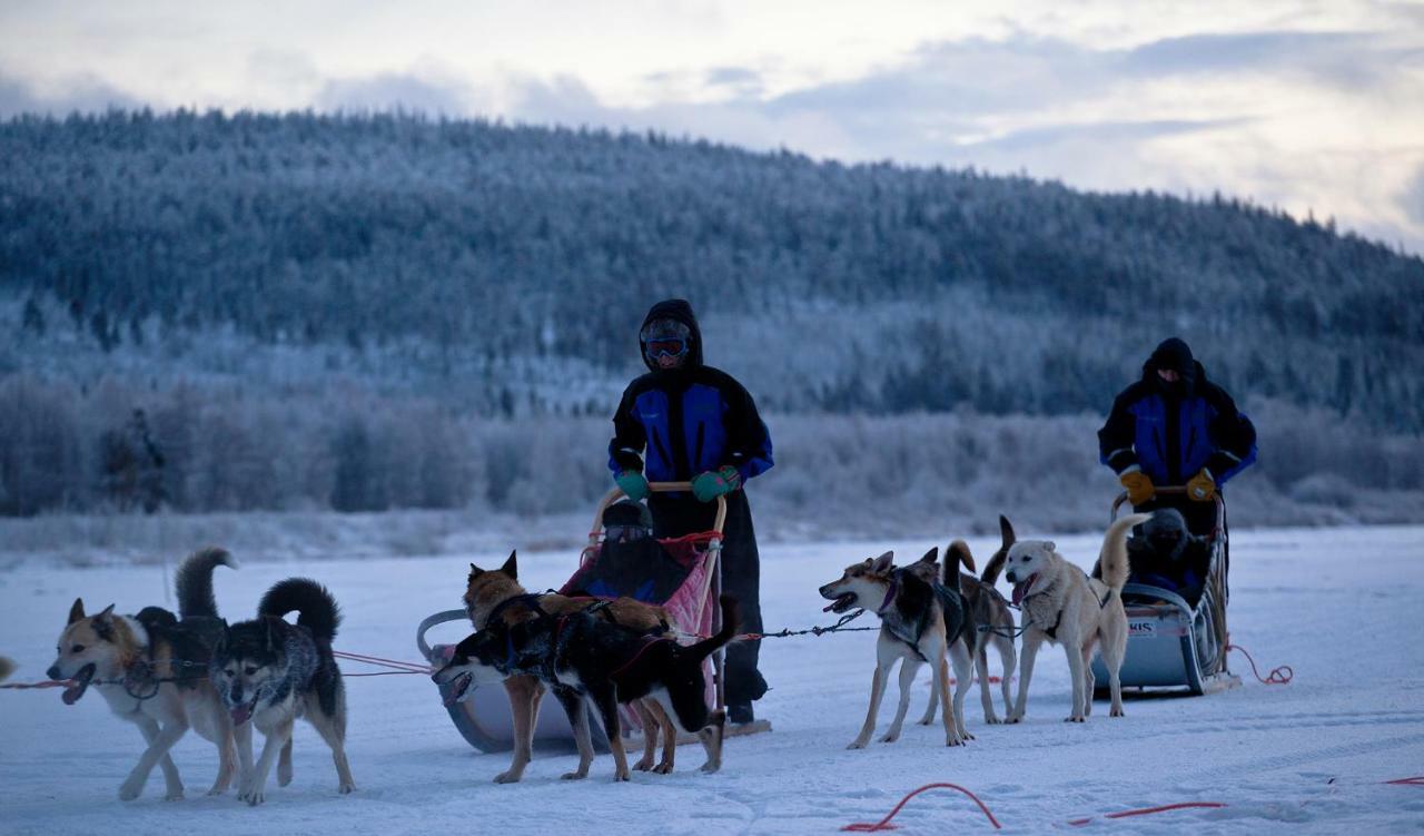 Willa Terra Ultima Rovaniemi Zewnętrze zdjęcie
