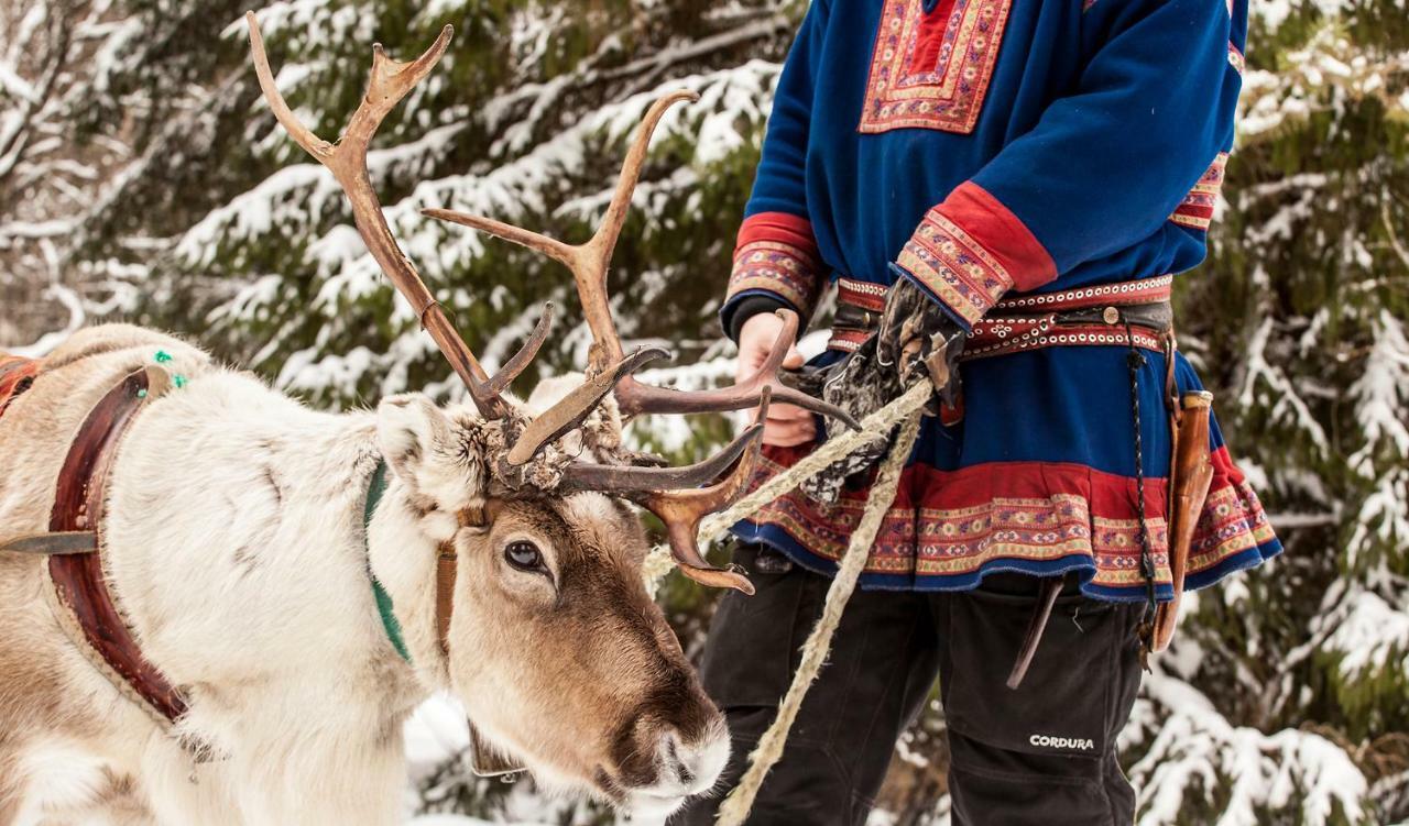 Willa Terra Ultima Rovaniemi Zewnętrze zdjęcie