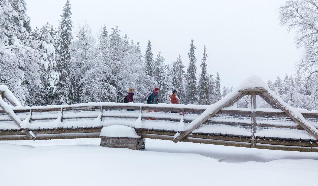 Willa Terra Ultima Rovaniemi Zewnętrze zdjęcie